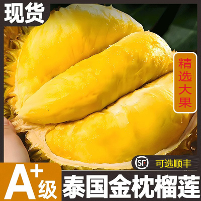 泰国金枕榴莲精选A+级软糯报恩榴莲带壳顺丰包邮新鲜巴掌肉榴莲