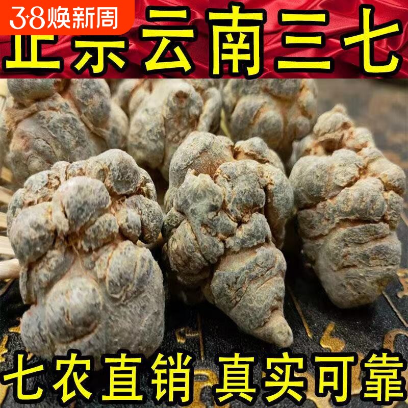 云南文山春三七20头30头40头三七头田七500g可代磨三七粉正品包邮