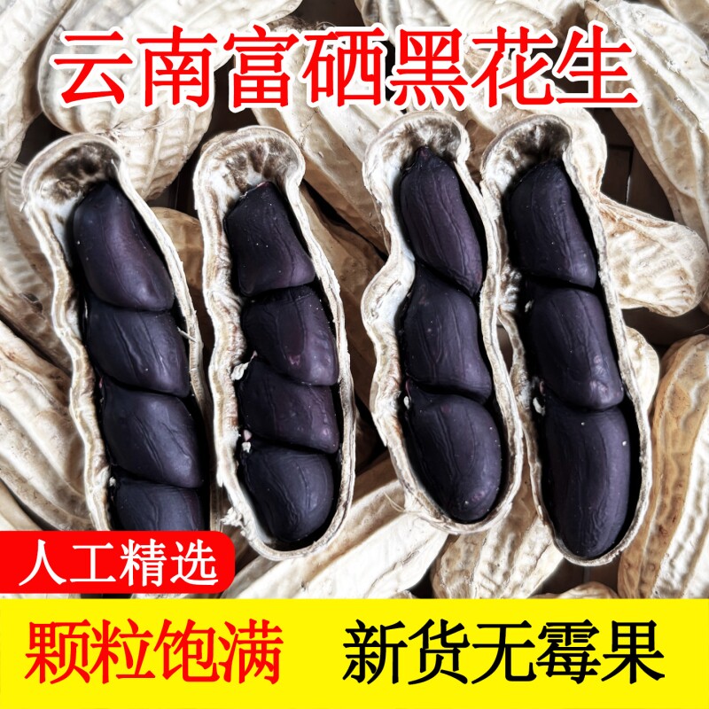 富硒黑花生带壳2025云南普洱特产晒干生熟花生米七彩年货黑皮新货