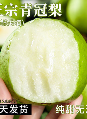 砀山酥梨蜜甜梨子苹果梨当季新鲜孕妇应季水果梨脆甜解渴包邮青皮