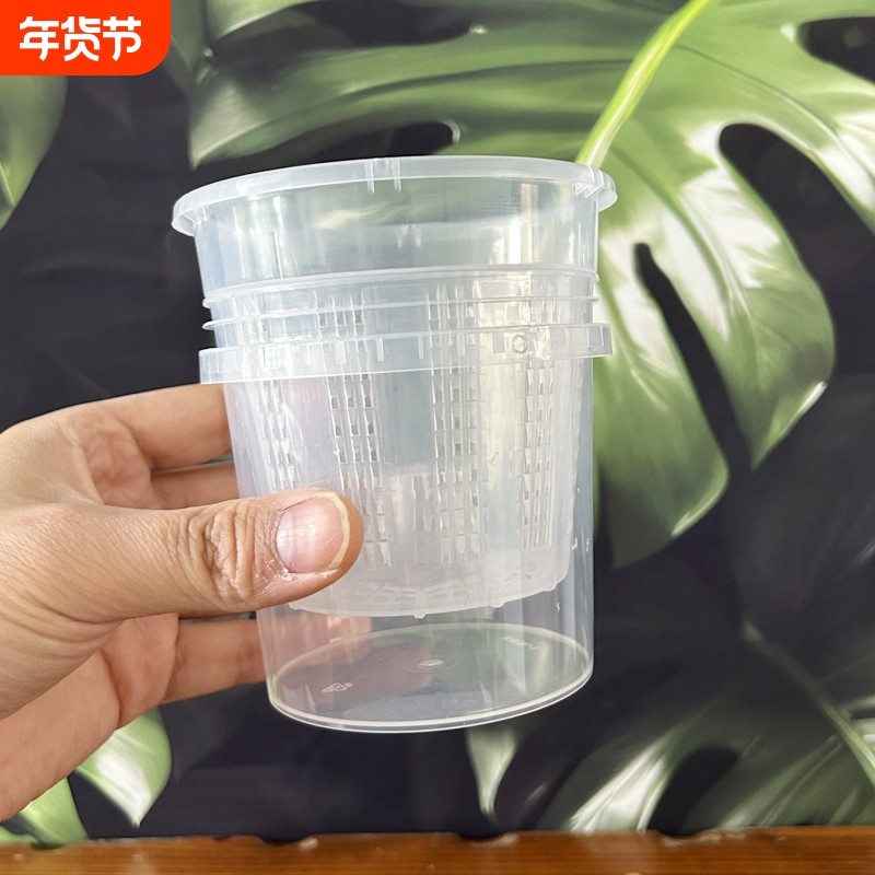 控根盆塑料半水培蝴蝶兰专用套盆透明观根盆懒人透气镂空石斛花盆,鲜花速递/花卉仿真/绿植园艺,花盆,淘宝优惠券,粉丝福利购,淘宝优惠卷