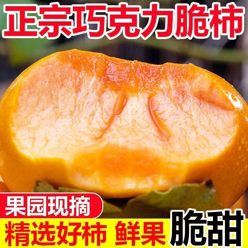 正宗脆柿子无核脆甜巧克力脆柿硬柿子当季新鲜时令水果阳丰现摘
