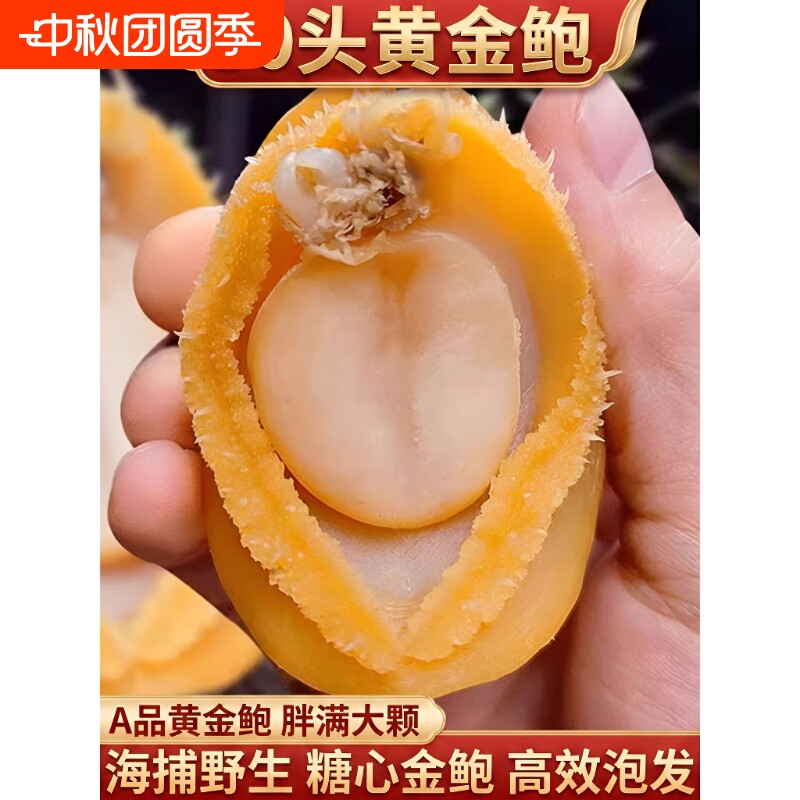 福建鲍精品大鲍鱼干|232人收藏图片