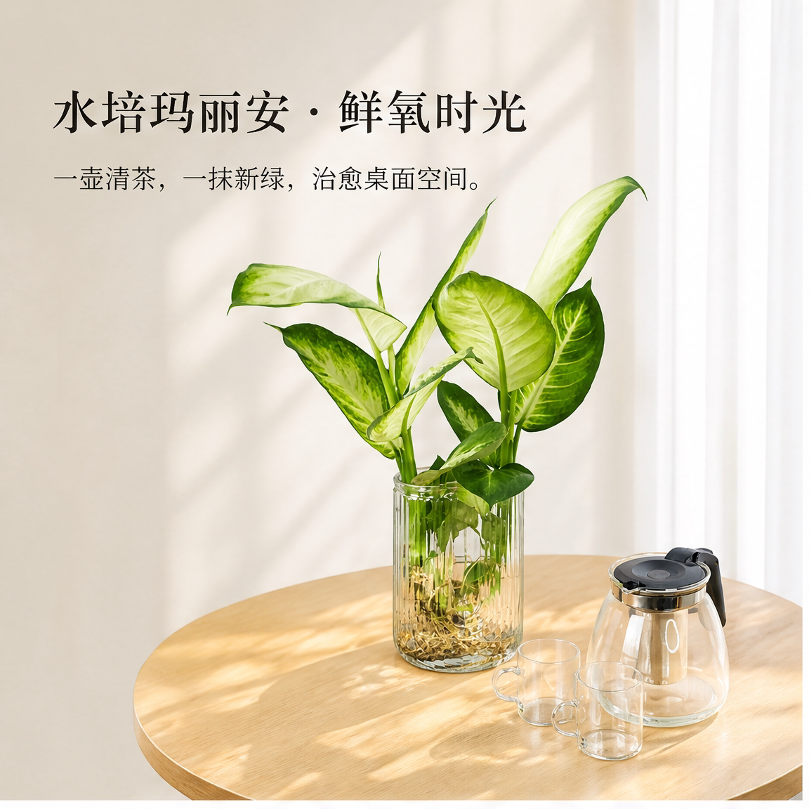 水培玛丽安植物室内桌面盆栽图片