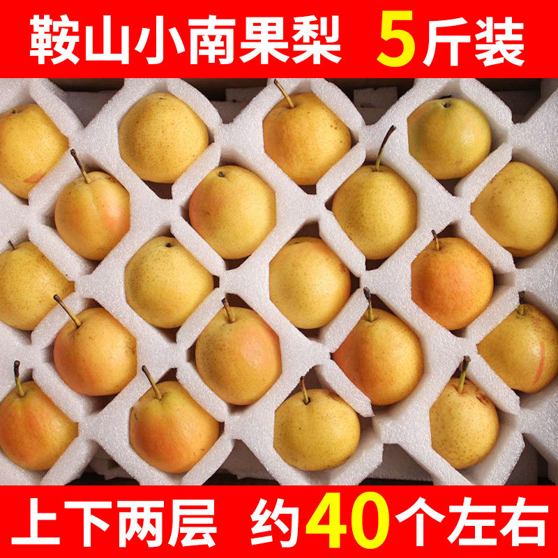 正宗南果梨鞍山鲜果南国特产东北新鲜水果孕妇梨子整箱农场直发