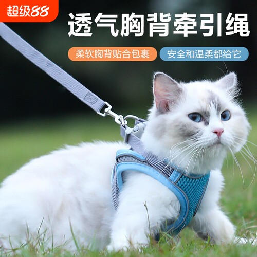 猫咪牵引绳防挣脱外出专用透气胸背牵引绳春夏外出背心式溜猫神器