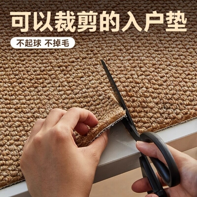 入户门地毯地垫仿剑麻客厅门垫进门大门口脚垫可裁剪防滑卧室厨房