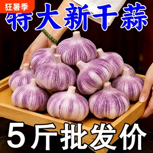 金乡大蒜大蒜头干蒜新蒜山东紫皮新鲜蔬菜蒜瓣农家批发自提当季