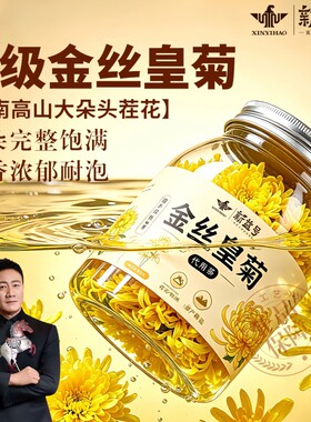 夏天热茶饮菊花茶金丝皇菊花草茶