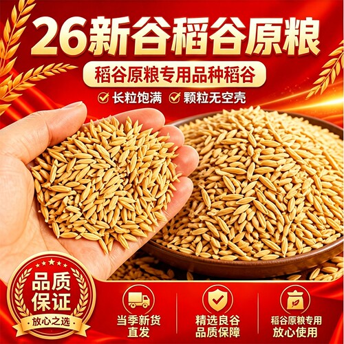 农家水稻谷子带壳大米新稻谷喂鸡鸭鹅仓鼠鸽鸟宠物饲料杂粮食玉米