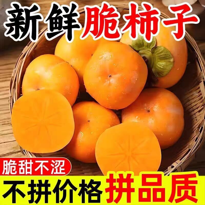 精品新鲜当季现摘脆柿柿子巧克力应季水果皮薄脆甜爆汁农场如意