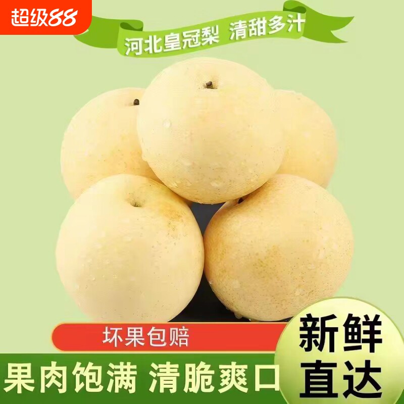河北皇冠梨赵县白皮雪梨应季水果冰糖梨子新鲜整箱包邮当季脆甜图片