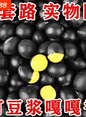 黄心黑豆非转基因肾形小黑豆农家自种黄芯豆浆醋泡药用新货老品种