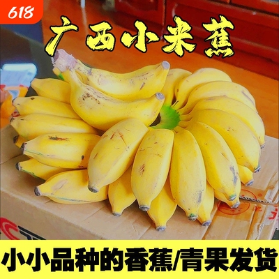 [精选]广西正宗小米蕉现摘新鲜小香蕉软糯香甜自然熟孕妇水果整箱