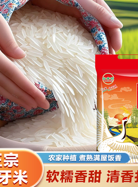 2025年猫牙米饭Q弹当季新米蛋炒饭5斤大米软糯好吃