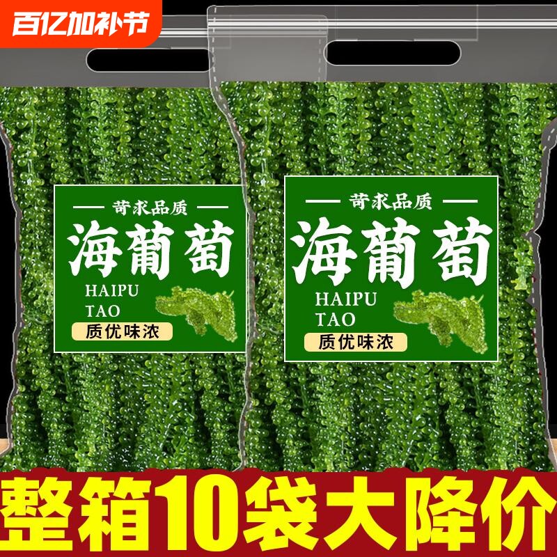 海葡萄新鲜即食海带零食泡发网红爆海洋蔬菜植物绿色鱼子酱凉拌菜