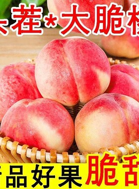 甜炸了新鲜水蜜桃现摘当季水果脆甜蜜桃应季毛桃整箱批发价