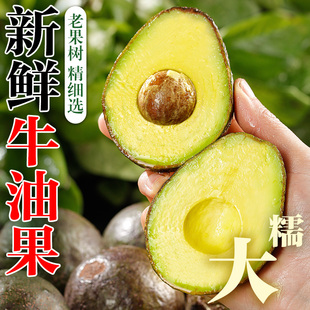 哈斯牛油果巨无霸大果新鲜水果当季整箱包邮熟透即食一级鳄梨奶油