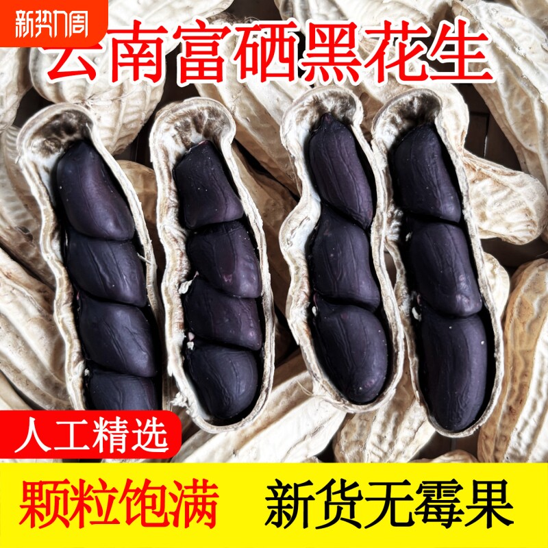 富硒黑花生带壳2025云南普洱特产晒干生熟花生米健康七彩年货新货