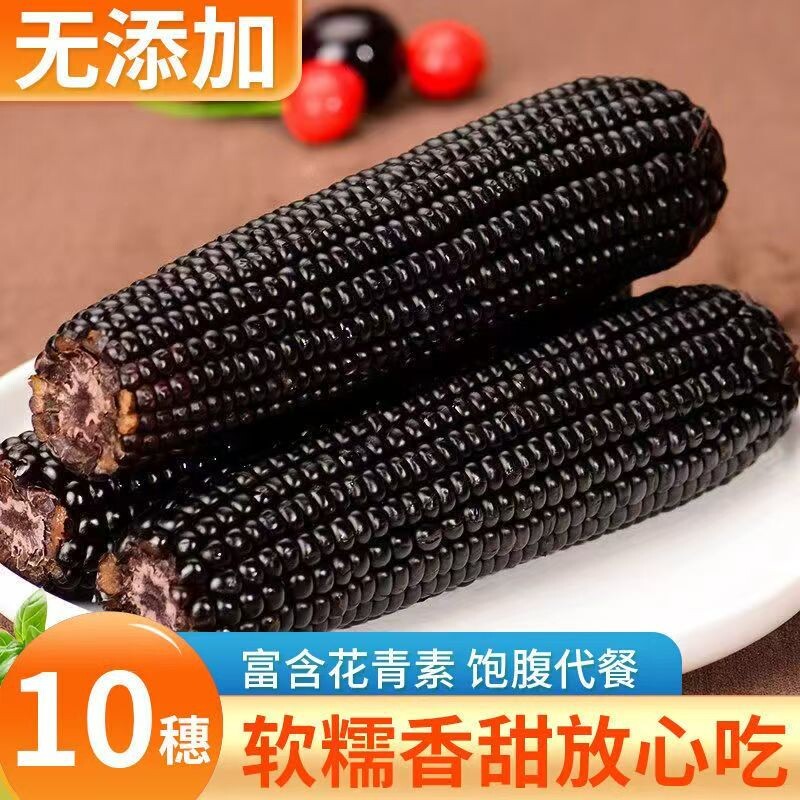 东北黑糯玉米独立黏黏甜糯玉米紫玉米减健身代餐整箱黑玉米10根