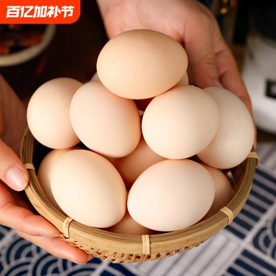 五谷喂养林间土鸡蛋新鲜鸡蛋农村笨鸡蛋农家散养柴鸡蛋营养健康