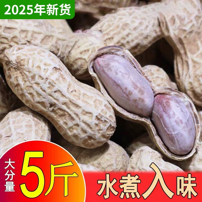 农科院新货龙岩水煮花生白晒干咸干原味蒜香湿烤带壳熟零食特产