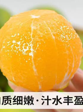 云南哀牢山冰糖橙子新鲜应季孕妇水果当季薄皮超甜当季新鲜水果
