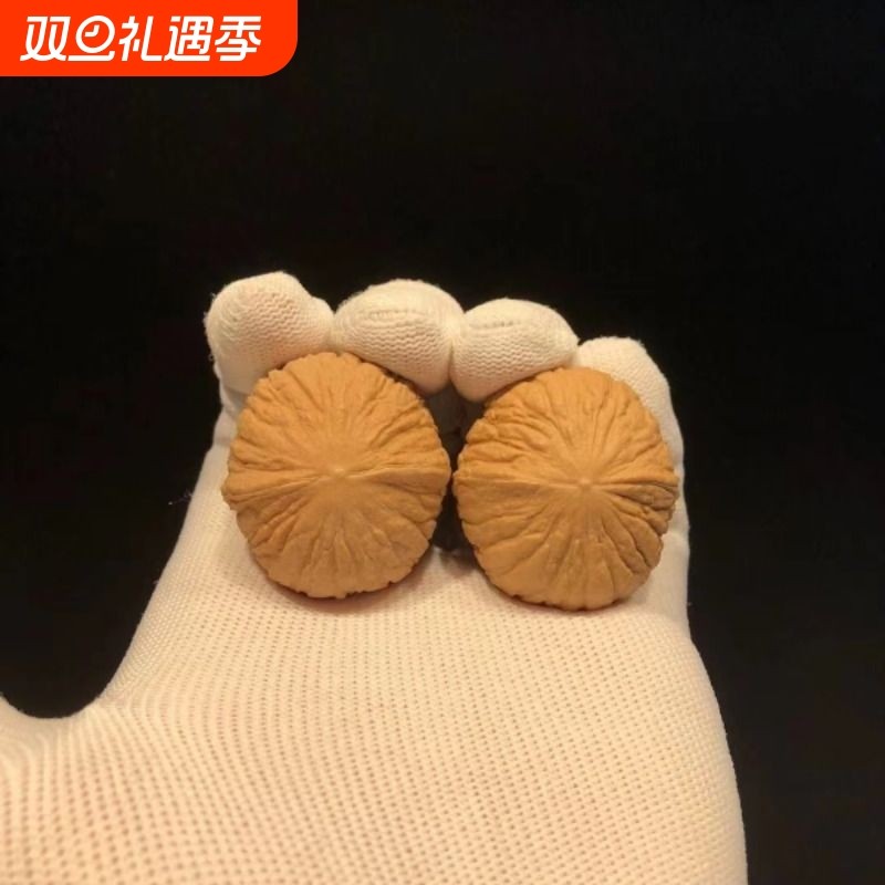 原皮猴头金元宝天然文玩麻核桃金丝小众手捻顺纹姜黄随身盘大粗筋