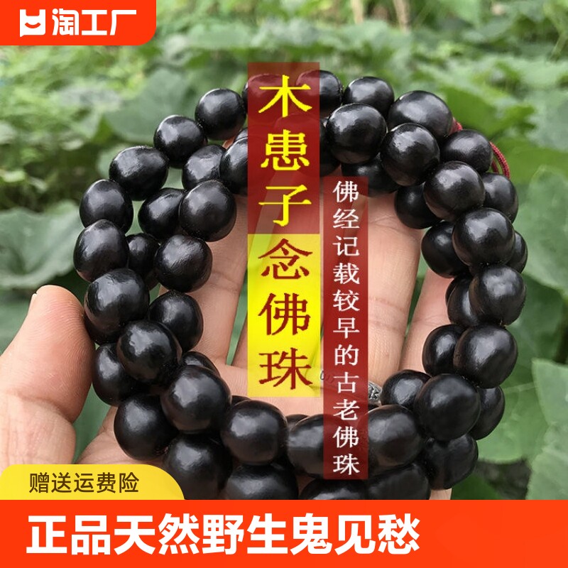 正品天然野生木患子鬼见愁陀罗尼子无患子菩提子手串手持男女佛珠