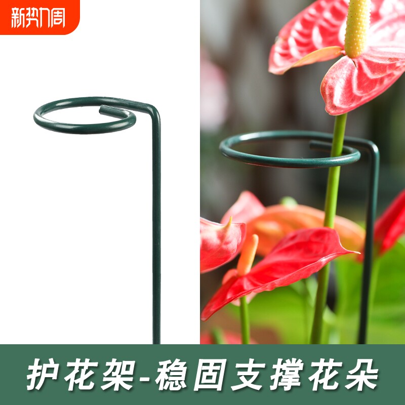 花架子铁艺支撑架室外花园月季花爬藤固定杆植物绣球撑花支架造型