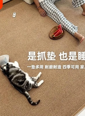 猫爪垫猫抓板客厅地毯仿菠萝圈沙发地垫入户灰色卧室剑麻防滑宠物