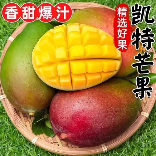 超甜四川攀枝花正宗凯特大芒果8斤芒果当季水果整箱包邮新鲜