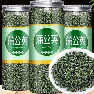 蒲公英茶蒲公英茶叶婆婆丁茶新货新货代茶口感好道地天然蒲公英