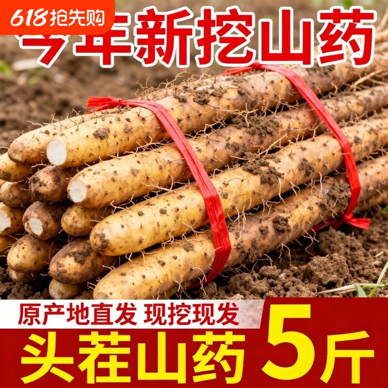 正宗小白嘴铁棍山药山药正宗新鲜当季现挖麻山药粉糯香甜宝宝辅食