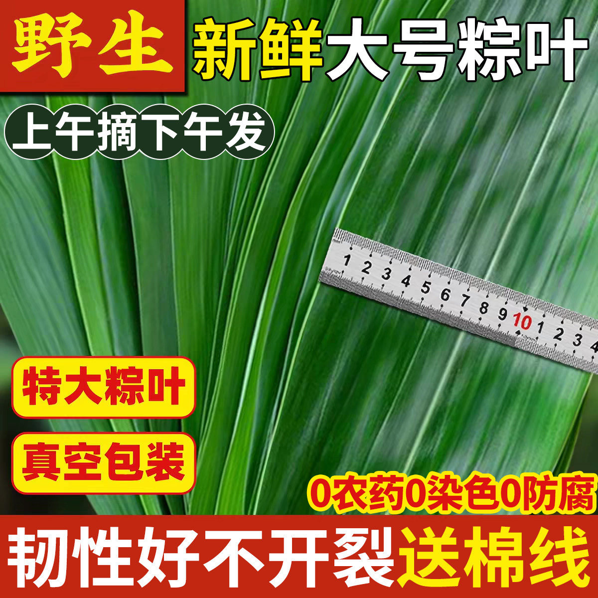 大号新鲜粽叶0农药0防腐真空包装