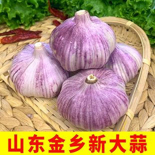 山东金乡干蒜新鲜紫白皮大蒜头农家自种5斤大蒜种子批发10斤种籽