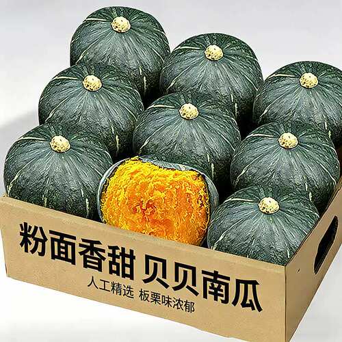 贝贝南瓜板栗味小南瓜