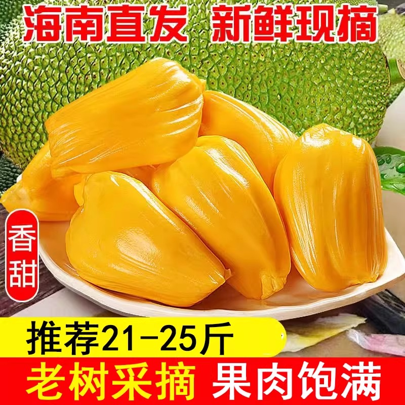 现货三亚黄肉菠萝蜜海南当季热带新鲜水果干苞木菠萝整箱产