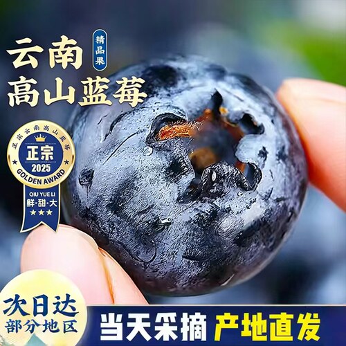 云南花香蓝莓新鲜水果当季现摘L25高山孕妇整箱顺丰京东包邮一颗