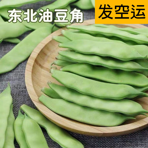 发空运】油豆角软烂九月青面豆东北农家自种新鲜采摘航空直发到家