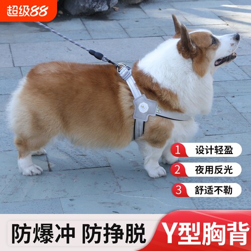 狗狗牵引绳Y型胸背带背心式宠物遛狗绳柴犬犬法斗柯基脖圈不勒脖