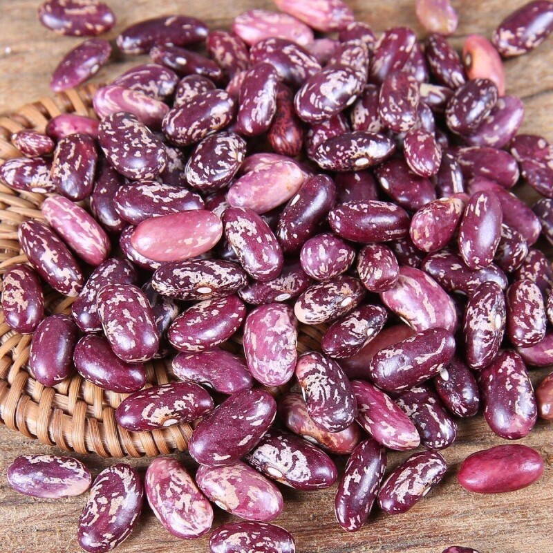贵州新四季豆农家自种红豆新花芸豆包谷酸菜豆米火锅食材花豆紫花