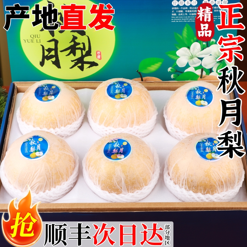 正宗山东秋月梨子中秋礼盒装当季整箱现摘冰糖梨雪梨蜜梨顺丰包邮