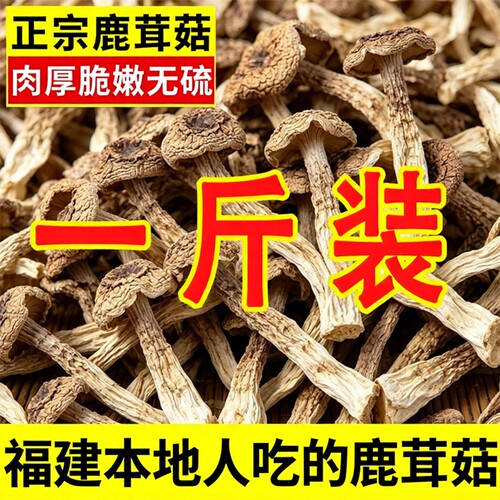 正宗鹿茸菇特级干货500g
