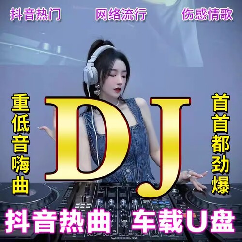 2025新款dj车载歌曲u盘音乐抖音流行经典新歌中文热门舞曲MP4优盘