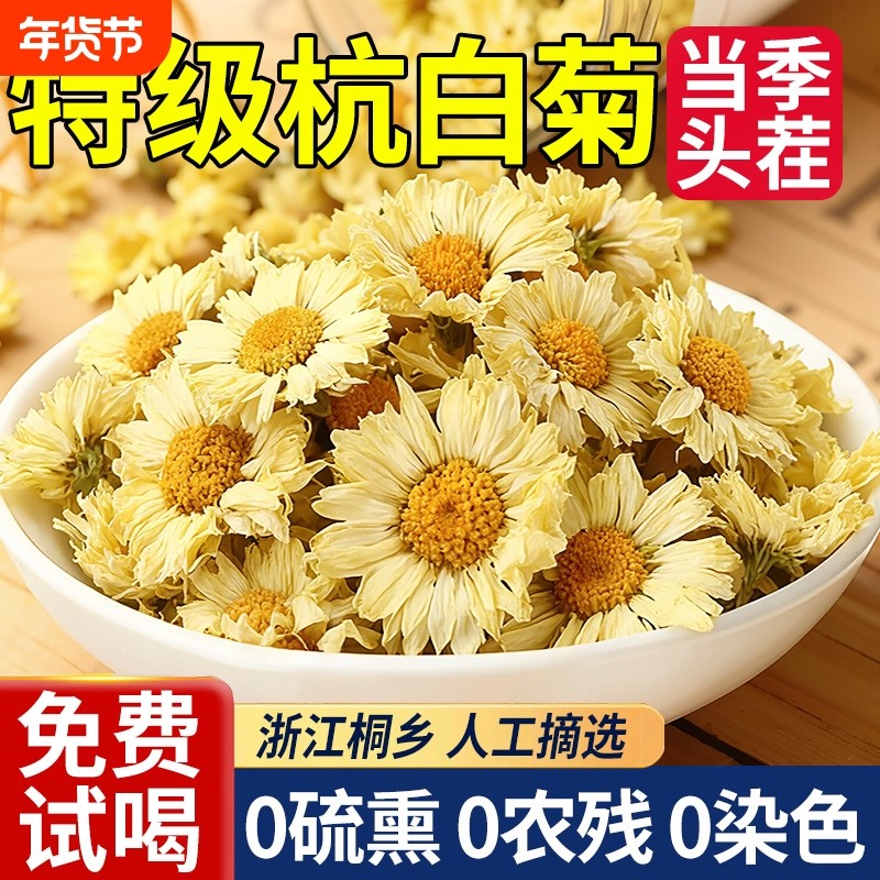 菊花茶正宗桐乡杭白菊特级正品官方旗舰店去火排清热毒菊花茶泡茶,茶,代用/花草茶,淘宝优惠券,粉丝福利购,淘宝优惠卷