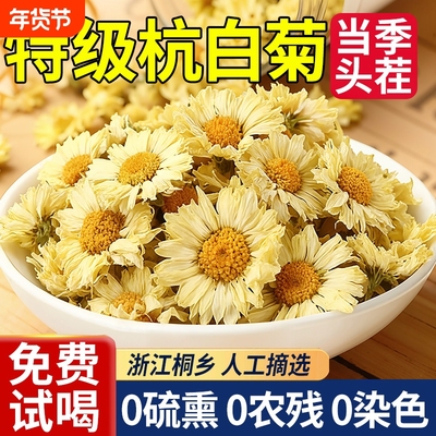 菊花茶正宗桐乡杭白菊官方旗舰店特级正品去火排清热毒菊花茶泡茶