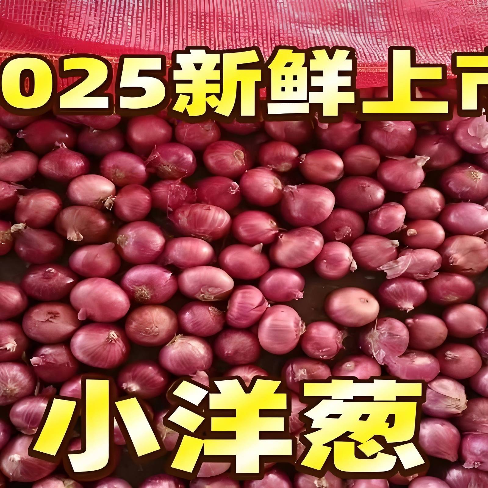 应季新鲜紫皮小洋葱脆嫩多汁圆葱洋葱蔬菜红皮特产农家元葱水果