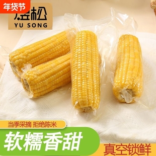 东北煜松黄糯玉米新货粗粮轻食早餐代餐粘真空锁鲜粘苞米