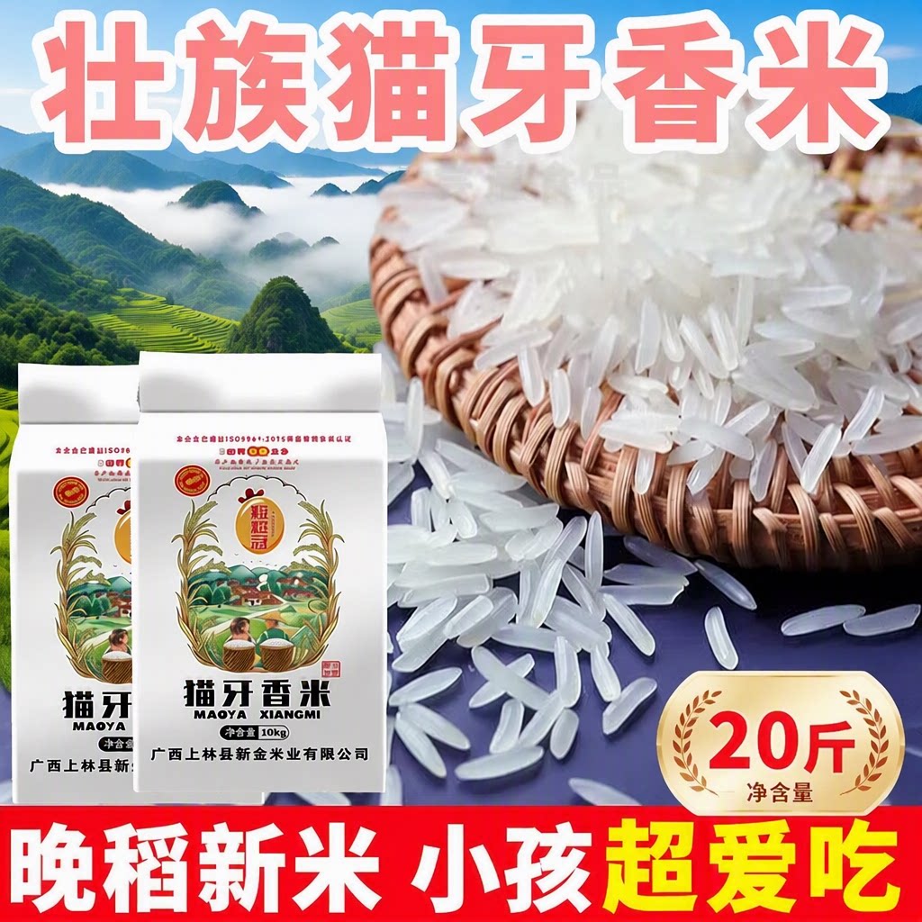 猫牙香米广西新米煲仔饭长粒米丝苗米原生态大米米饭上林优质籼米